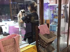 -FAELING PETS美天灵宠物(富力广场店)