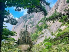 -黄山风景区