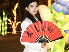-欢乐海岸椰林沙滩-2025湾区超级灯会