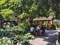 -青城甲(青城山店)