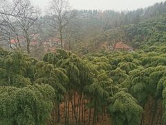 -莫干山风景区