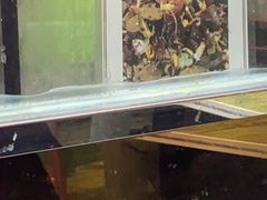 -牛街清顺斋小吃(牛街东里小区一区店)