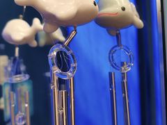 -多彩贵州城极地海洋世界