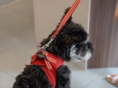 -Again Coffee Roaster(香蜜湖店)