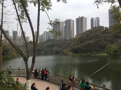 -重庆彩云湖湿地公园