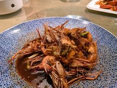 -日出青木