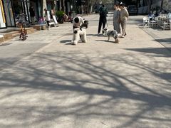 -小意思咖啡店(草桥店)