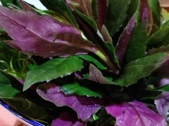 -野山舂·贵州现舂酸汤火锅(鸿通城店)