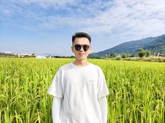 -艾米稻香小镇