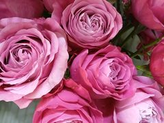 -花心思鲜花店(武昌徐东店)