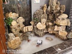 -达旺·鸡毛店(巴南万达店)