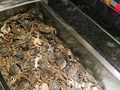 -欢乐牧场海鲜烤肉自助(牡丹园店)