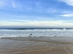 -海南清水湾莱佛士酒店