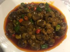 -琬苑鸽庄·川粤融合菜(解放碑总店)
