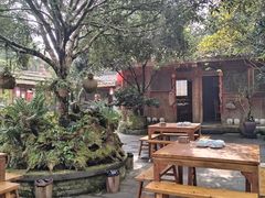 -青城甲(青城山店)