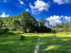 -黄埔油麻山森林公园