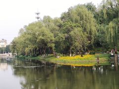 -万泉公园