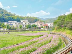 -红山村