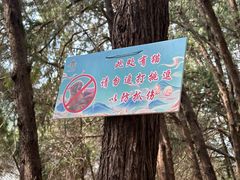 -四门塔风景区
