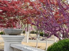 -济南国际园博园