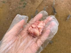 -鄂尔多斯野生动物园