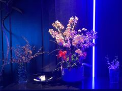 -逸馥荟(人广来福士店)