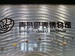 -青岛贝壳博物馆