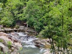 -广州白江湖森林公园