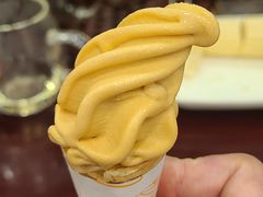 -国家五钻酒家·西樵旺阁渔村(西樵店)