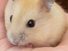 -龙猫仔乐园(惠福东路店)