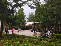 -庄怡公园