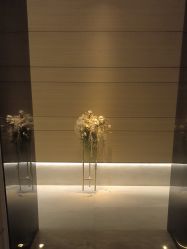 -恒美雅轩·品牌直营连锁