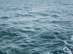 -日照世帆赛基地