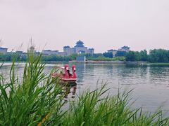 -莲花池公园