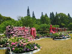 -无锡蠡湖国家湿地公园-蠡园