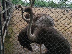 -西安秦岭野生动物园