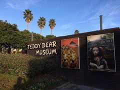 -济州岛泰迪熊博物馆