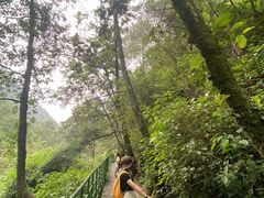 -苍山感通索道