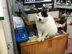 -北京博爱动物医院有限公司