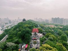 -黄鹤楼公园(黄鹤楼)