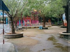 -广东茂名森林公园