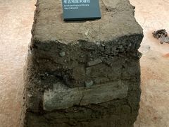 -南越王博物院(王宫展区)