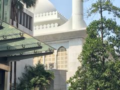 -九龙公园