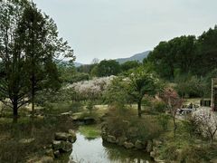 -杭州植物园
