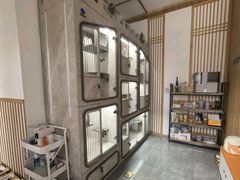 -山宅一喵德文卷毛猫舍