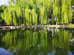 -玲珑塔公园