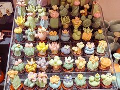 -青韵台陶艺Diy(永庆坊店)