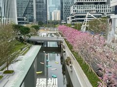 -深圳湾万象城(南山店)