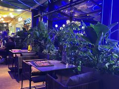 -bluefrog蓝蛙(皇庭广场店)