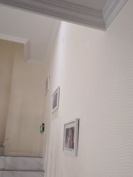 -SILKTONE诗丽堂美容